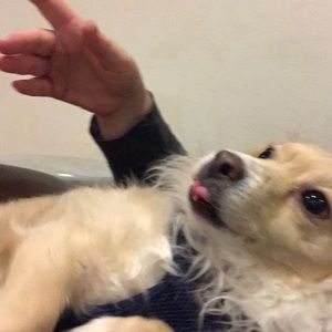 Meet your Posher, Erica